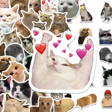 מדבקות חתולים מצחיקים 50 יח' לקישוט מחשב נייד, מזוודה