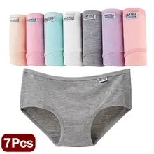 תחתונים לנשים במידות גדולות 7 יח' כותנה סקסיות