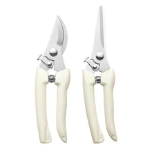 מזמרה גינון מקצועית- מזמרה גינה חזקה לבונסאי