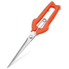 מספריים לגיזום ענבים מקצועיות - גן ירק- נירוסטה