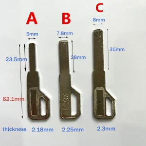 10 יחידות מפתחות נעילה - Key embryo טביעת אצבע, סיסמה