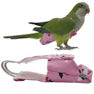 חיתול לתוכי עם עניבה- בגדי תעופה צבעוניים