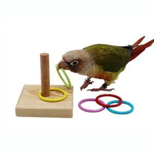 צעצוע אימון לתוכים- טבעת אימון אינטראקטיבית