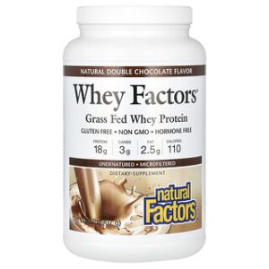 חלבון מי גבינה - Natural Factors דאבל שוקולד 907 גרם