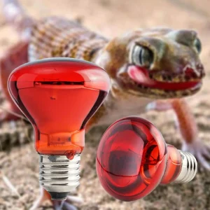 מנורת חום לחיות מחמד - UVA UVB זוחלים 25-100W
