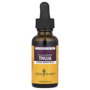 Herb Pharm Thuja 30ml - תמיסה טבעית לתמיכה חיסונית