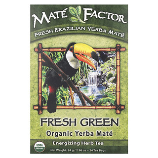 Mate Factor אורגני - ירבה מאטה ירוקה - 24 שקיות תה