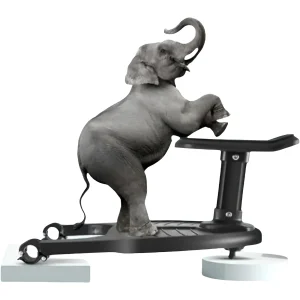 מתאם פדל לעגלה- תוספת עמידה לילד שני,תאומים